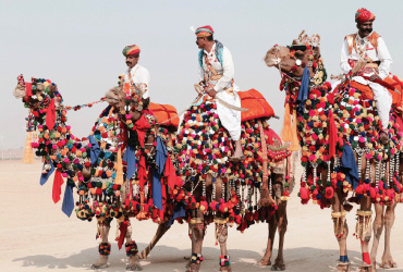 Pushkar Fair Rajasthan, 2021 Pushkar Camel Fair- Essential Festival Guide
